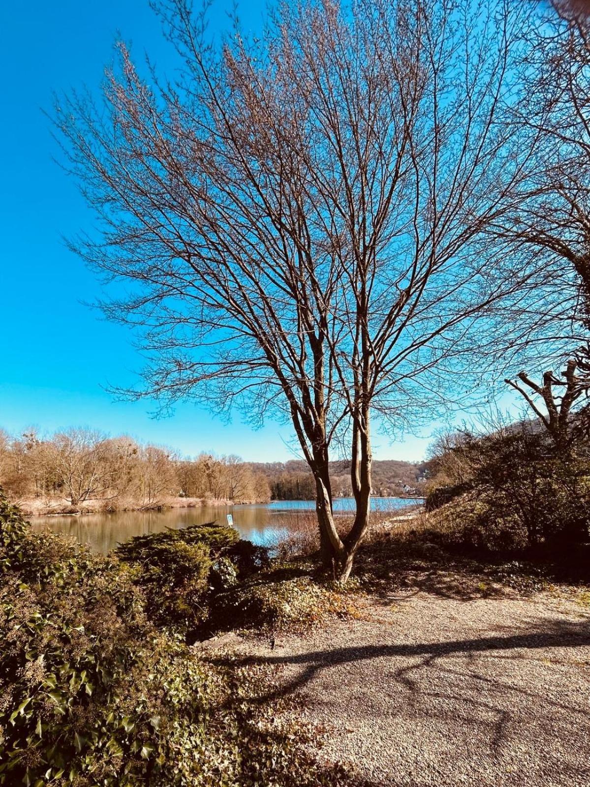 Refuge Bord De Meuse - Maas Βίλα Yvoir Εξωτερικό φωτογραφία