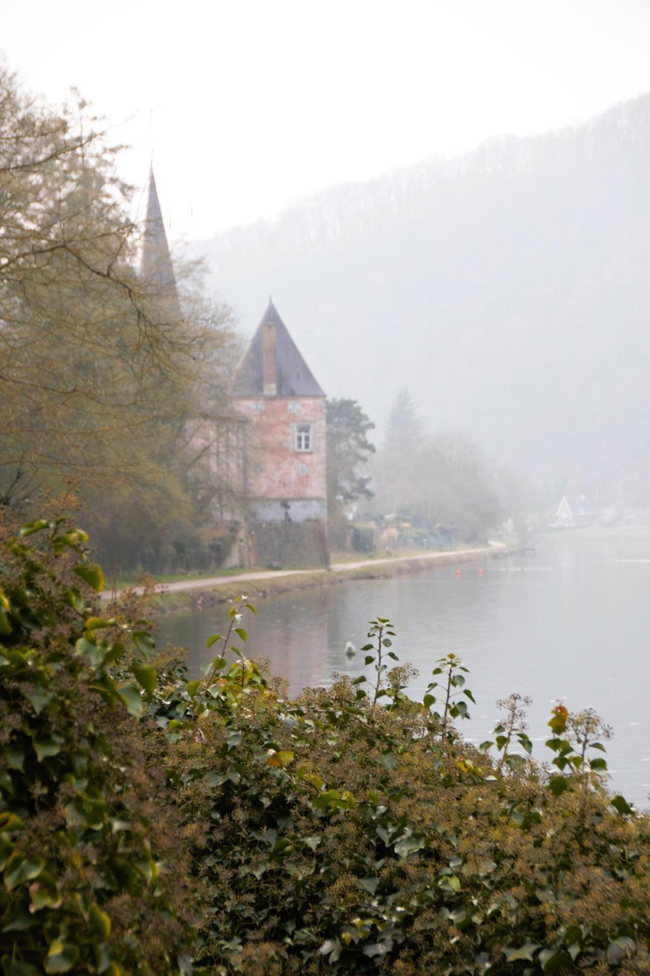 Refuge Bord De Meuse - Maas Βίλα Yvoir Εξωτερικό φωτογραφία